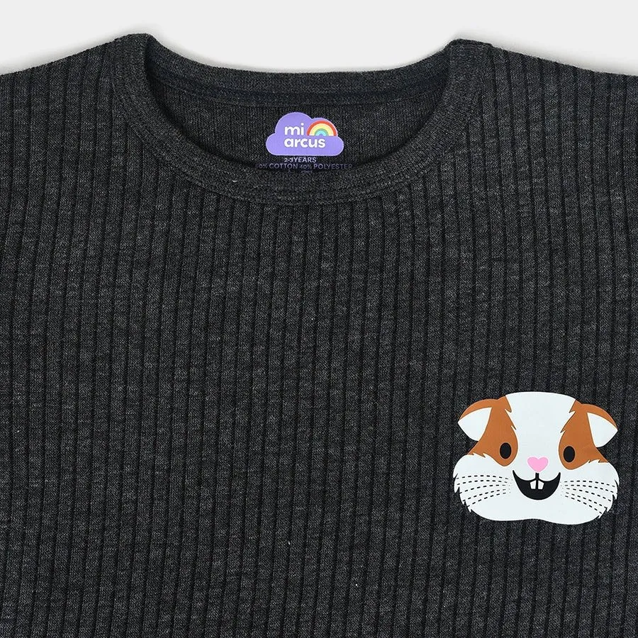 Farm Friends Knitted Full Sleeve Thermal  Top Pack of 3
