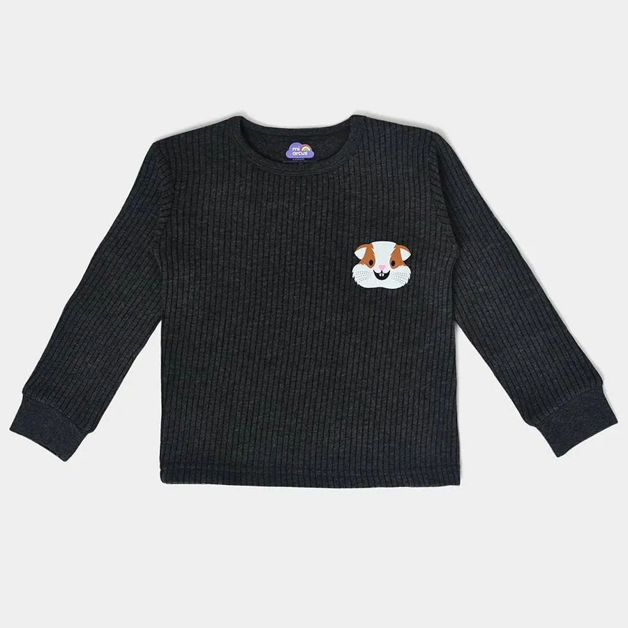 Farm Friends Knitted Full Sleeve Thermal  Top Pack of 3