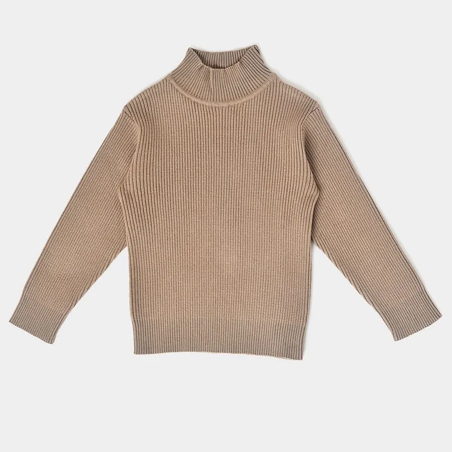 Misty Knitted Thermal Brown Top with Turtle Neck