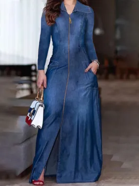 Vintage A-Line  Long Sleeve Button/Zipper Maxi Dress